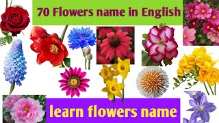 Flowers nameflowers vocabularyflowers name in English with pictureseducational vedio for kids [upl. by Lahcsap948]