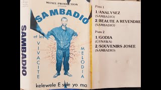 SAMBADIO ET LES VIVACITÉ MELODIA  ANALYSEZ [upl. by Einyaj]