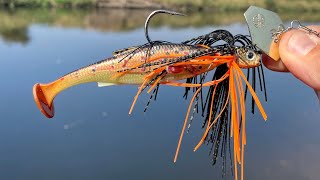 Chatterbait Pike Fishing BIG Pike LMAB KØFI MULTIVIBE [upl. by Maitilde]