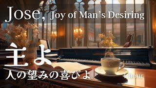 【作業用・睡眠用BGM】主よ 人の望みの喜びよ JSバッハ 1時間 jose joy of mans Desiring relaxing classical music [upl. by Llednil]