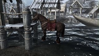 Skyrim Horse Going Nuclear [upl. by Erelia829]