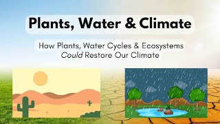 Plants Water Climate  How Plants Water Cycles amp Ecosystems Could Restore Our Climate [upl. by Giuliana787]