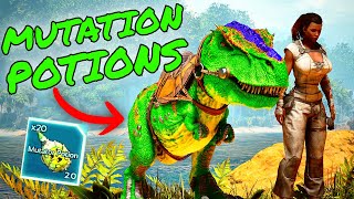 MUTATION POTIONS in Ark Survival Ascended The Best Thing For Your Playthroughs [upl. by Atiniv]