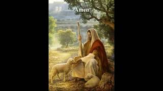 The Lord is my shepherd  ShepherdOfMySoul GuidedByGraceDivineGuidance InHisCare godsguidance [upl. by Eednus]