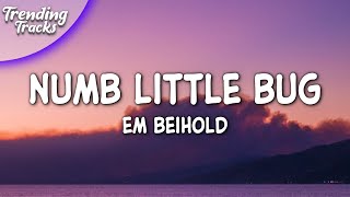 Em Beihold  Numb Little Bug Lyrics [upl. by Nyrual]