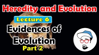 Evidences of Evolution part 2  Heredity and Evolution Class 10 SSC CBSE [upl. by Mukul]