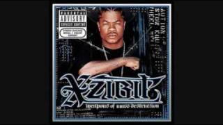 Xzibit  Crazy Ho [upl. by Nortyad]