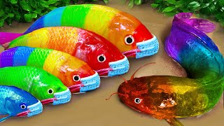 Stop Motion ASMR  Battle of fish  Catfish hunting colorful Koi Fish Eels [upl. by Llehcsreh]