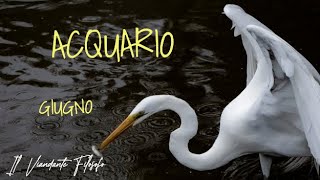 ♒ ACQUARIO GIUGNO 🔮 NUOVO AMORE ALLE PORTE 💥💥🌹🤩♥️☀️☀️☀️ [upl. by Catarina]