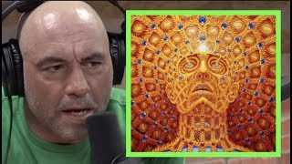 Joe Rogan Once Did DMT 3 Times in One Day [upl. by Winograd]