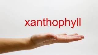 How to Pronounce xanthophyll  American English [upl. by Pell]