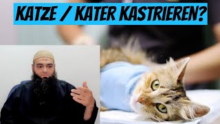 Darf man seine Katze  Kater kastrieren [upl. by Jet]