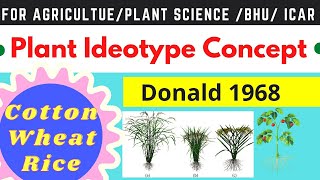 Plant Ideotypes  Ideotype Breeding  Ideal Plant Type [upl. by Fridell332]