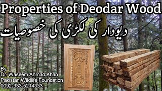 Deodar Wood Benefits  Diyar Ki Lakri Kay Faiday  دیار کی لکڑی کے فائدے [upl. by Amolap303]