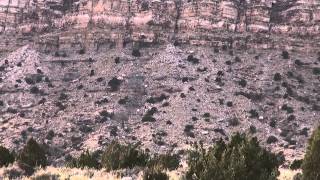 Fossil Mountain Millard County UT Lecture by Owen Nielsen [upl. by Hirschfeld363]