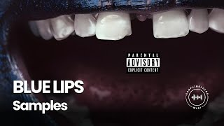 Every Sample From ScHoolboy Qs BLUE LIPS [upl. by Prosper674]