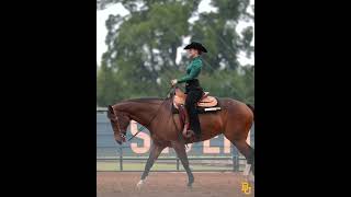 Baylor Equestrian Highlights vs Fresno St  November 1 2024 [upl. by Eelrehpotsirhc521]