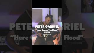 Peter Gabriel quotHere Comes The Floodquot 1977 acoustic instrumental [upl. by Raclima]