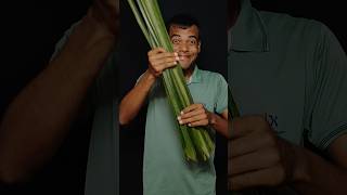 Coconut leaf flute🪈coconutleaf coconutleafcraft coconutleafbasket shortvideo foryou viralvideo [upl. by Maynard]