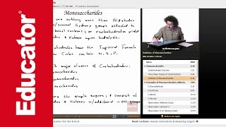 Examples of Monosaccharides Aldoses  Biochemistry Tutorial [upl. by Burlie]