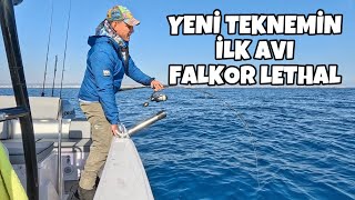 Yeni Teknemin İlk Avını Yaptım Falkor Silikon Yem ve Canlı Yem Avı [upl. by Nilorac]