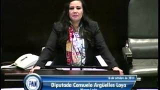 Dip Consuelo Argüelles PAN  Ley de Ingresos 2015 Reservas [upl. by Luba]