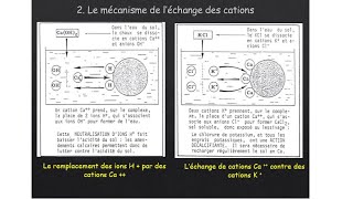 Pouvoir adsorbant du sol colloïdes et floculation adsorption et échanges de cations [upl. by Ahsitam]