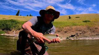 Fly Fishing MASSIVE Trout in Alberta Eastern Slopes [upl. by Hsevahb]