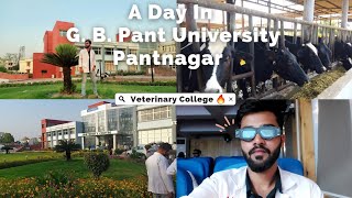 Pantnagar University Tour🔥  Day 1  Veterinary College  Aniket tyagi [upl. by Assirual466]