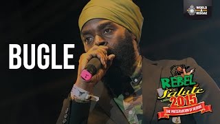 Bugle Live at Rebel Salute 2015 [upl. by Adey]