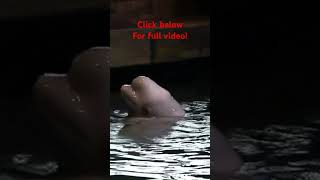 See Beluga Whales up close at Shedd Aquarium belugawhales [upl. by Aerda]