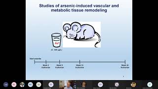 Pharm Tox Dept Seminar EHS Series with Aaron Barchowsky PhD [upl. by Bilicki]