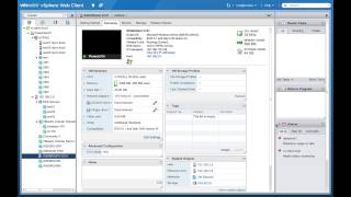 vCOPS 56 Integration in the VMware vSphere Web Client [upl. by Naujid]