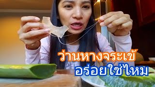 กินว่านหางจระเข้ Aloe Vera อร่อยใช่ไหม ไหนชิมหน่อยสิชีวิตในอเมริกาcktaylorอโรเวล่าASMR [upl. by Aicenet96]