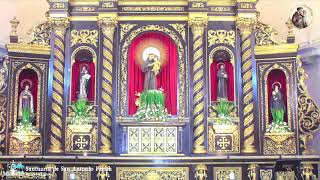 LIVE  Tuesday November 5 2024  730 am  Celebration of the Holy Mass [upl. by Clarkson]