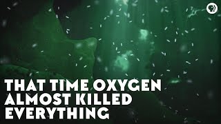 That Time Oxygen Almost Killed Everything [upl. by Haorbed]