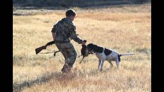 Black Friday Pheasant Hunt [upl. by Anertac]