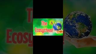 Exploring the Wonders of Ecosystems An Introduction Biotic and Abiotic Factors [upl. by Molahs]