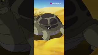 Discover the Amazing World of Tortoises [upl. by Bobseine]