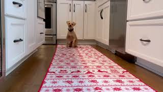 Deck the Halls  and Floors  Festive Runner Rug Fun [upl. by Nodnrb]