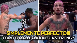 ¡PERFECTO  ¿Cómo Sean OMalley NOQUEO a Aljamain Sterling  OMalley vs Sterling ANALISIS UFC 292 [upl. by Toomin]