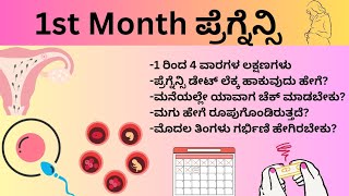 ಮೊದಲ ತಿಂಗಳ ಗರ್ಭಿಣಿ ಲಕ್ಷಣಗಳು  1st Month Pregnancy Symptoms in Kannada  1 to 4 Weeks of Pregnancy [upl. by Nnylear454]