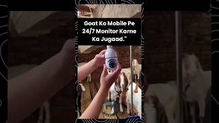 247 goat farm ko kaise monitor kare jugaad goat goatfarming cctv farming bakripalan shorts [upl. by Ylurt326]