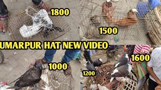 UMARPUR HAT NEW VIDEO umarpur market hat Murshidabad umarpur market hat 😍 Ravivar pyra hat kobutar [upl. by Auqinom211]