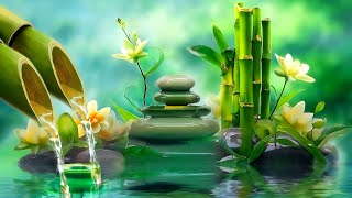 Beautiful Relaxing Music 🌿 Water Sounds Deep Sleeping Music Meditation Music Relaxing Piano [upl. by Piane179]