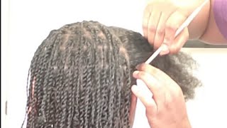 How to Start Locs w Two Strand Twist Realtime [upl. by Nnahtebazile]