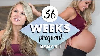 36 WEEKS PREGNANT  ECV Procedure amp Should we do it [upl. by Skolnik]