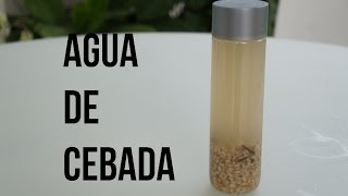 COMO HACER DELICIOSA AGUA DE CEBADA REFRESCANTE [upl. by Cuttler]