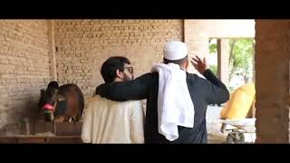 Bakra eid Special by Arsh Ali khan [upl. by Matlick]