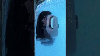 Poolwand reinigen mit Poolroboter Aiper Seagull Pro Pool pooltime [upl. by Agna682]